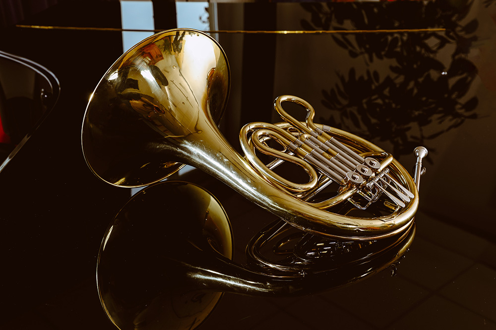 Bild des Instruments Horn